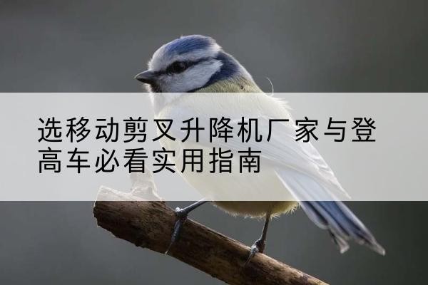 积石山电动升降机厂家-选移动剪叉升降机厂家与登高车必看实用指南