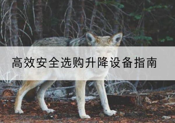 积石山升降货梯厂家推荐-*安全选购升降设备指南