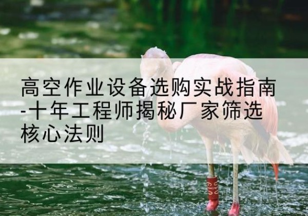 积石山剪叉式升降机厂家-高空作业设备选购实战指南-十年工程师揭秘厂家筛选核心法则